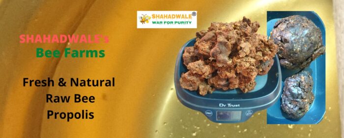 Raw Bee Propolis - Image 1