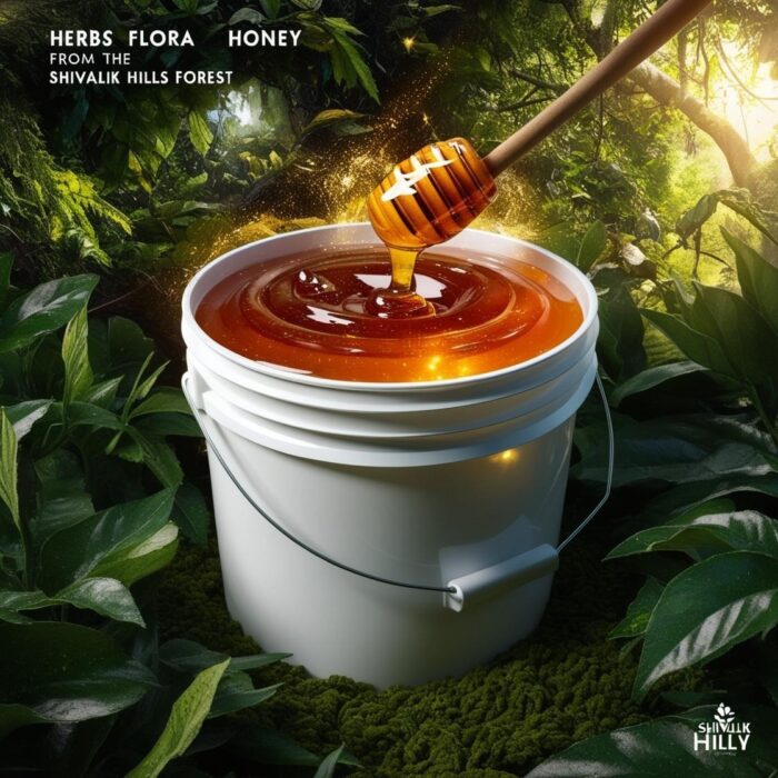 Herbs Honey |Herbs Flora Honey| Herbal plants Flowers Honey | Himalayan Honey - Image 5