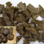 Raw Bee Propolis – 100% Natural Propolis | Bulk Supply | SHAHADWALE