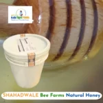 Lychee Honey / Litchi Honey - Bulk for Brands & Wholesalers - Image 4