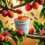 Lychee Honey / Litchi Honey - Bulk for Brands & Wholesalers - Image 2