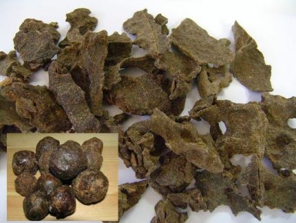 Raw Bee Propolis