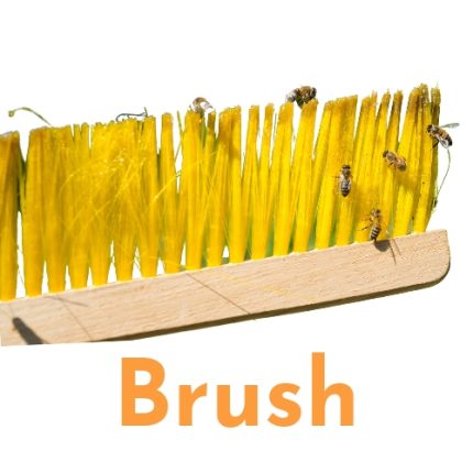 Bee Brush with Plastic Handle for Beekee…