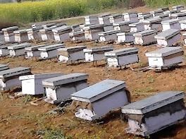 "Boost Your Farm’s Productivity with Our…